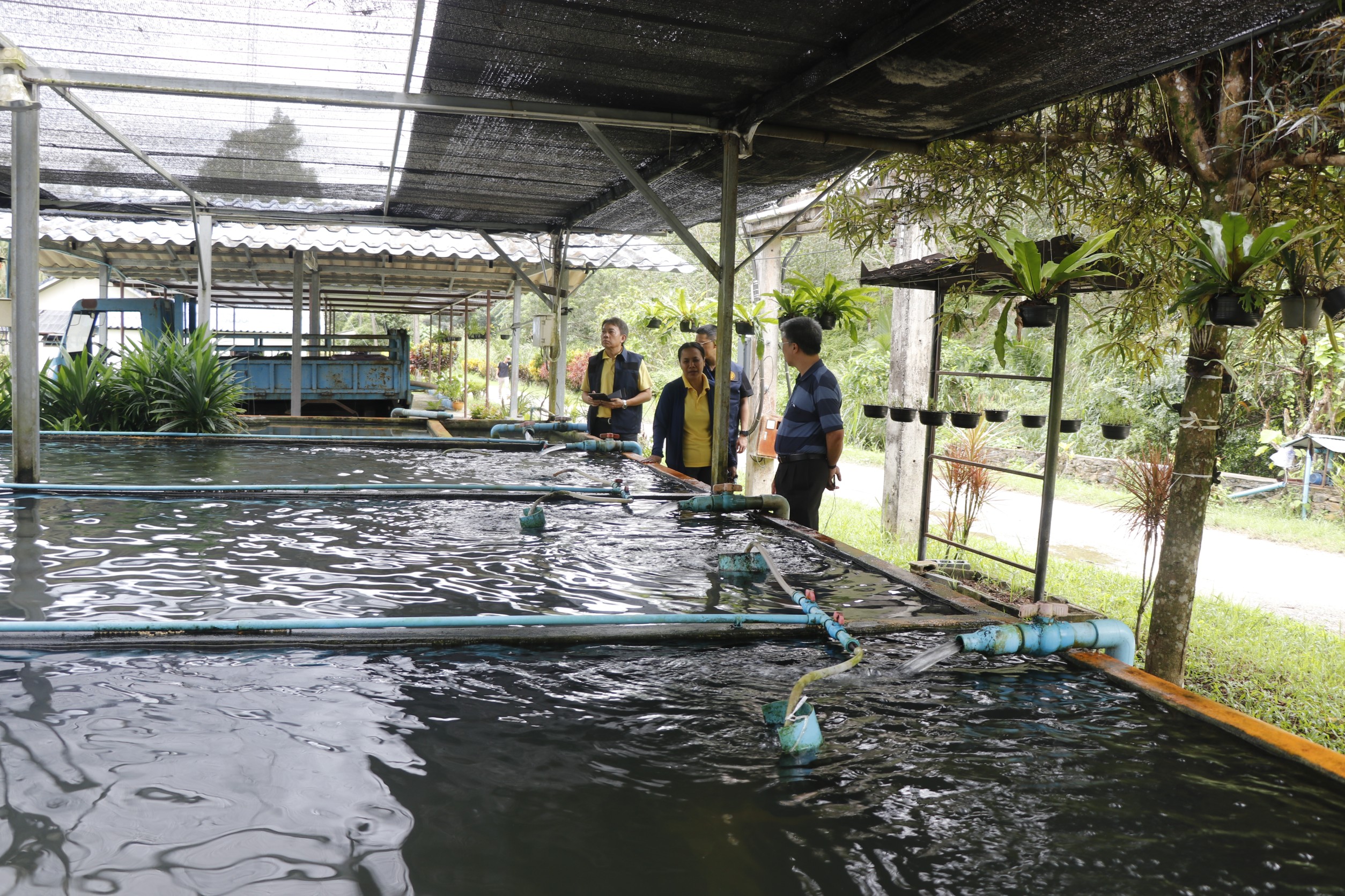 Akademisi Thailand Selatan Dorong Kemajuan Ekonomi di Yala